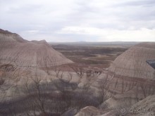 Окаменелый лес в Раскрашенной пустыне