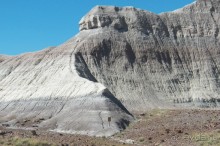 Окаменелый лес в Раскрашенной пустыне
