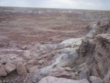 Окаменелый лес в Раскрашенной пустыне