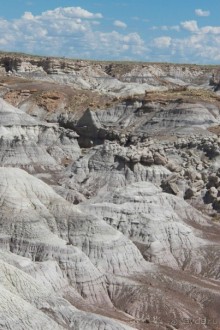 Окаменелый лес в Раскрашенной пустыне