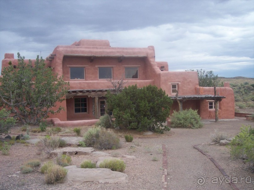 Окаменелый лес в Раскрашенной пустыне