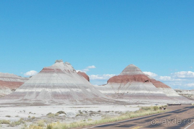 Окаменелый лес в Раскрашенной пустыне