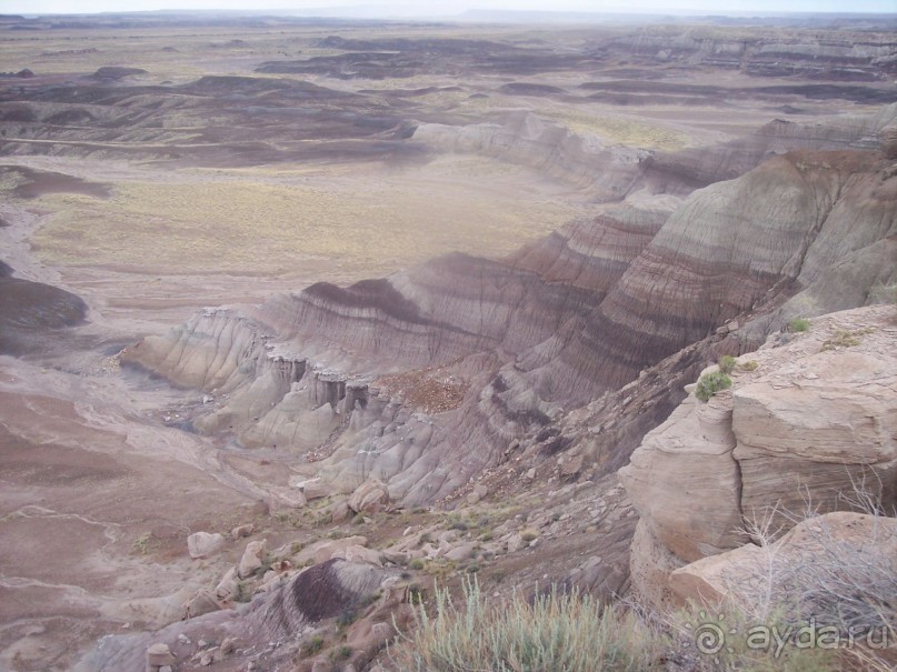Окаменелый лес в Раскрашенной пустыне