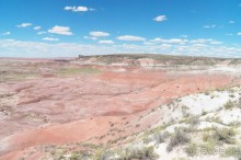 Окаменелый лес в Раскрашенной пустыне