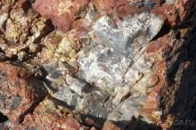 Окаменелый лес в Раскрашенной пустыне