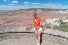 Окаменелый лес в Раскрашенной пустыне