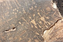 Окаменелый лес в Раскрашенной пустыне