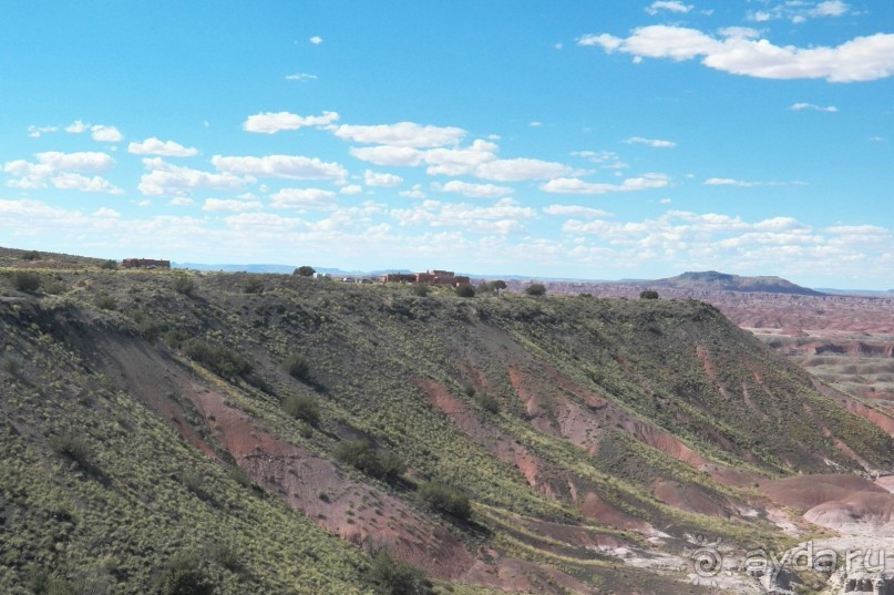 Окаменелый лес в Раскрашенной пустыне