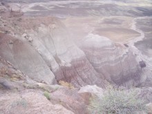 Окаменелый лес в Раскрашенной пустыне