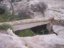 Окаменелый лес в Раскрашенной пустыне