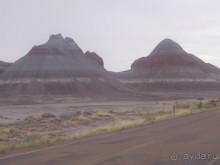 Окаменелый лес в Раскрашенной пустыне