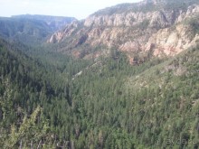 Окаменелый лес в Раскрашенной пустыне