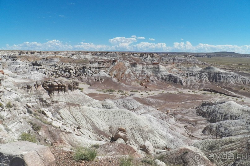Окаменелый лес в Раскрашенной пустыне