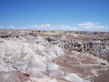 Окаменелый лес в Раскрашенной пустыне