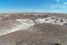 Окаменелый лес в Раскрашенной пустыне