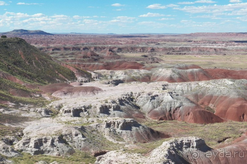 Окаменелый лес в Раскрашенной пустыне