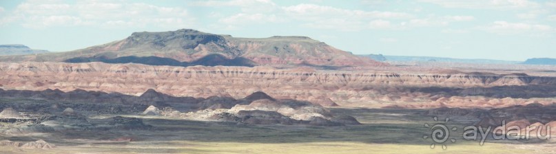 Окаменелый лес в Раскрашенной пустыне