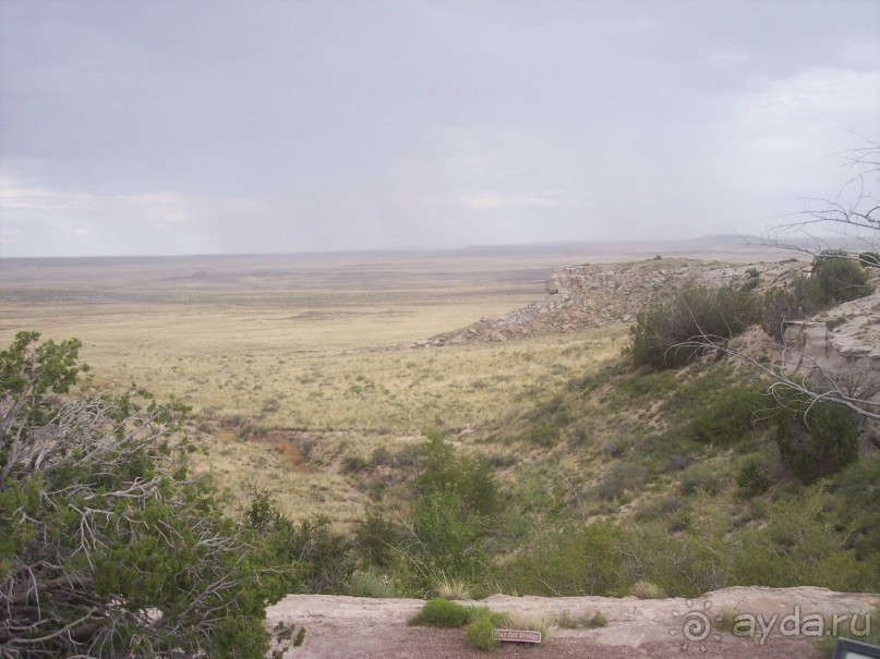 Окаменелый лес в Раскрашенной пустыне