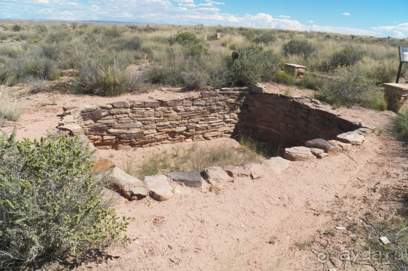 Окаменелый лес в Раскрашенной пустыне