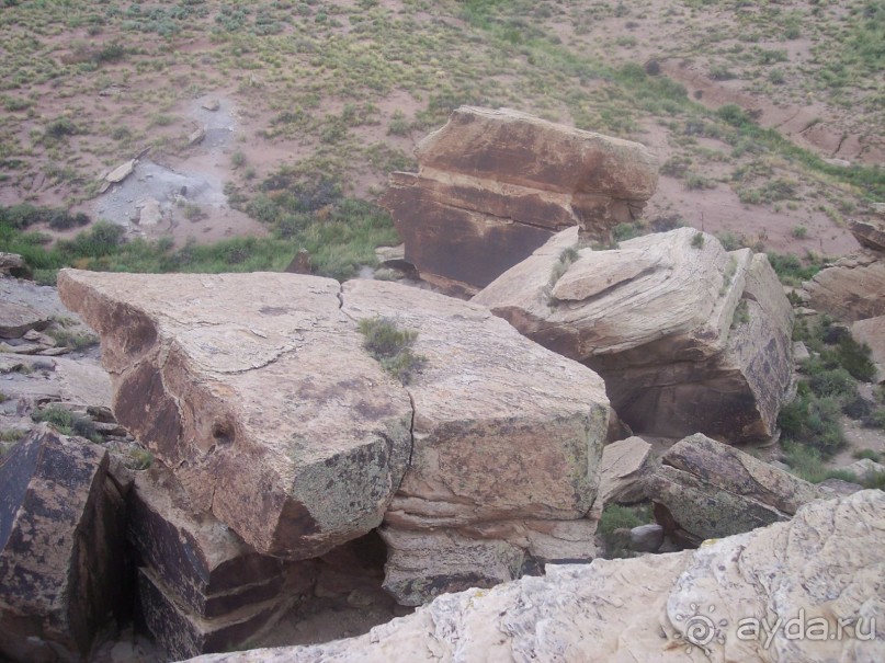 Окаменелый лес в Раскрашенной пустыне