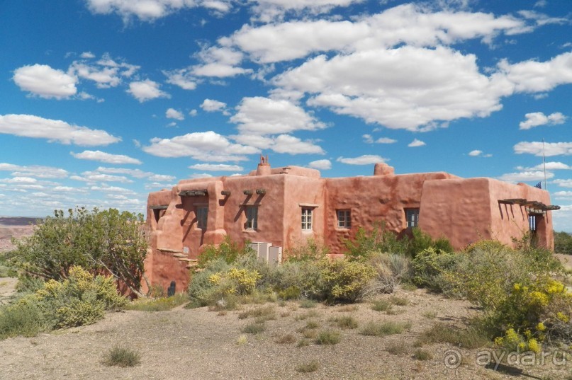 Окаменелый лес в Раскрашенной пустыне