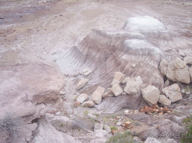 Окаменелый лес в Раскрашенной пустыне