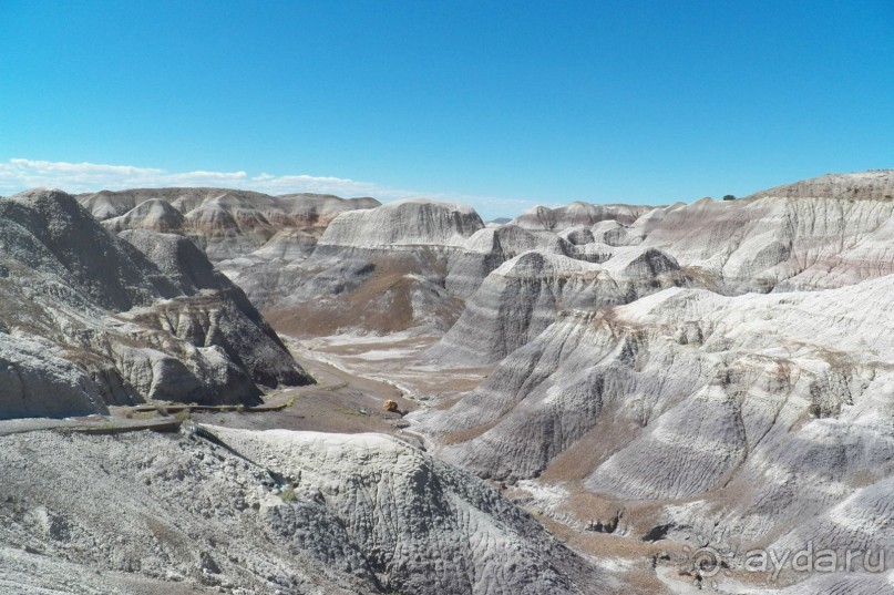 Окаменелый лес в Раскрашенной пустыне