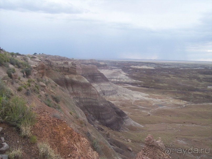 Окаменелый лес в Раскрашенной пустыне