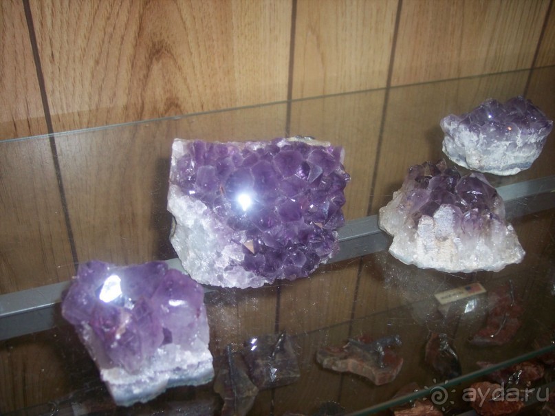 Окаменелый лес в Раскрашенной пустыне