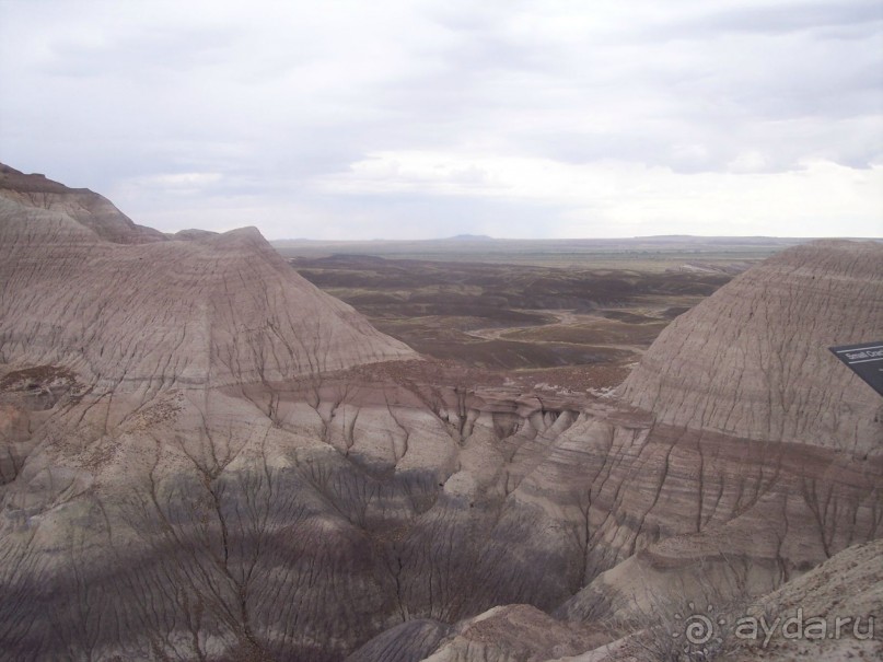 Окаменелый лес в Раскрашенной пустыне