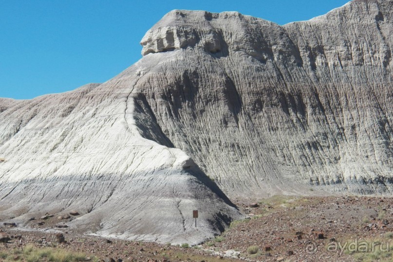 Окаменелый лес в Раскрашенной пустыне