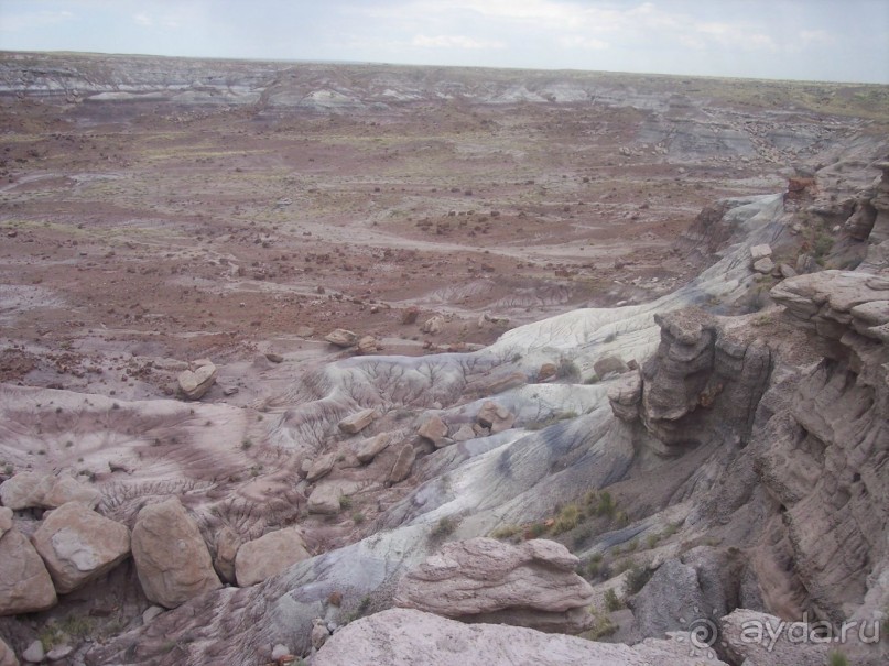 Окаменелый лес в Раскрашенной пустыне