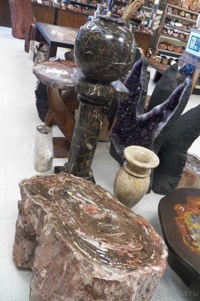 Окаменелый лес в Раскрашенной пустыне