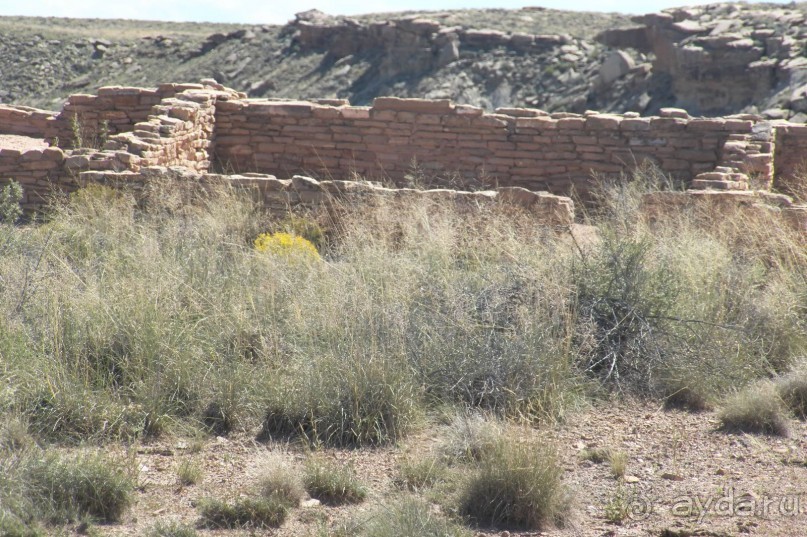 Окаменелый лес в Раскрашенной пустыне
