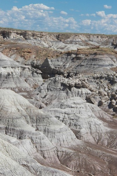 Окаменелый лес в Раскрашенной пустыне