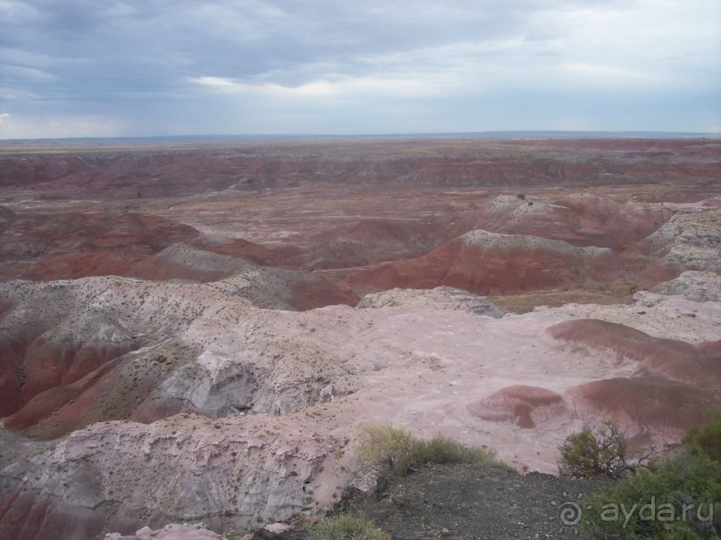 Окаменелый лес в Раскрашенной пустыне