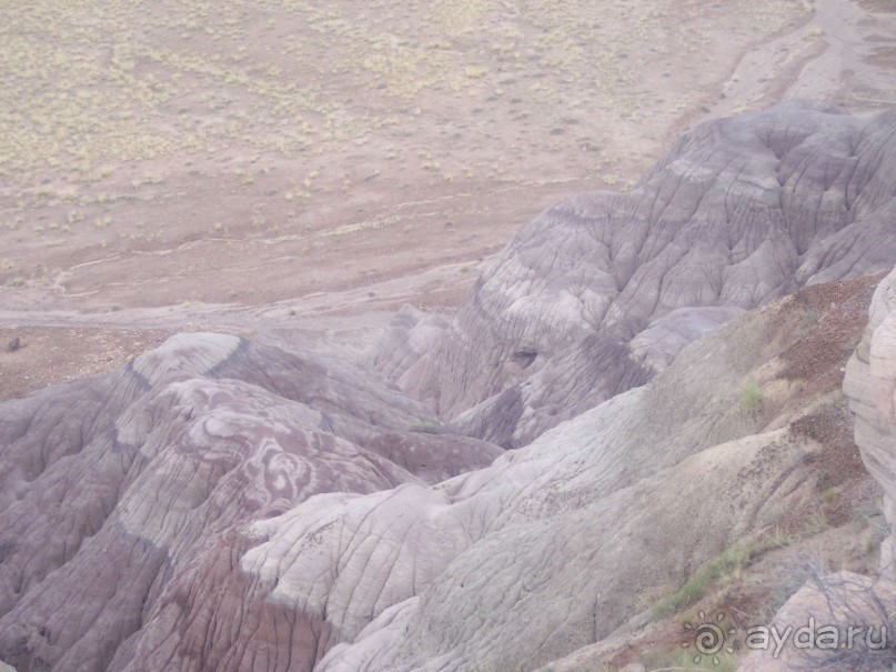 Окаменелый лес в Раскрашенной пустыне