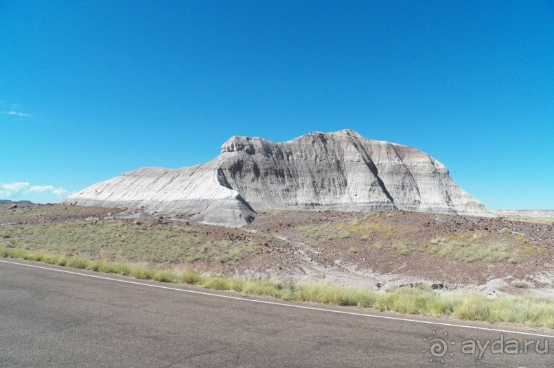 Окаменелый лес в Раскрашенной пустыне