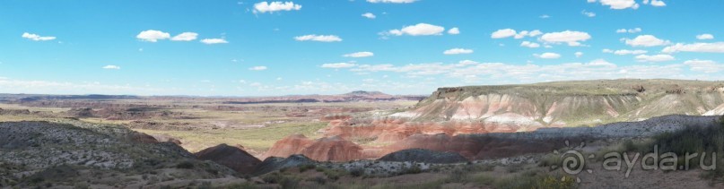 Окаменелый лес в Раскрашенной пустыне