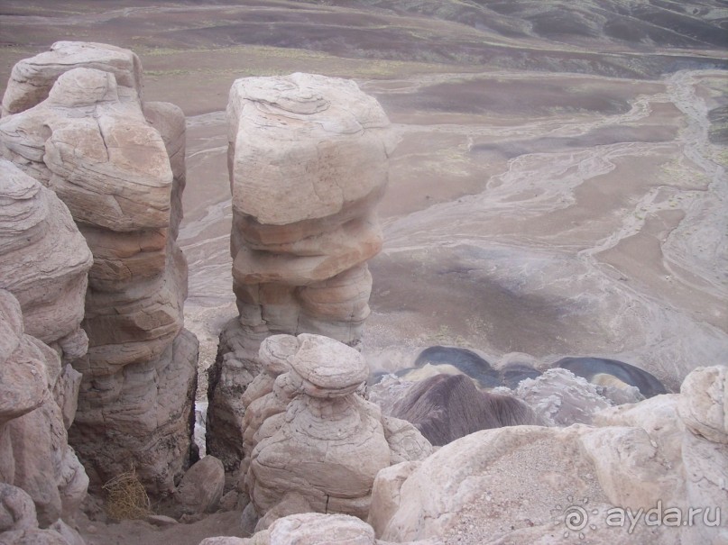 Окаменелый лес в Раскрашенной пустыне
