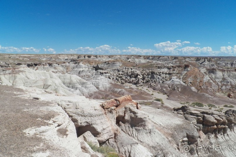 Окаменелый лес в Раскрашенной пустыне