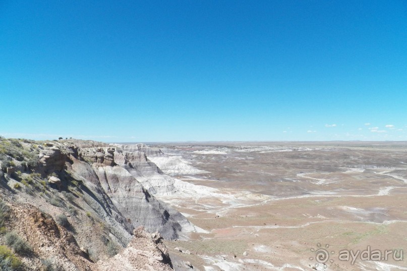 Окаменелый лес в Раскрашенной пустыне