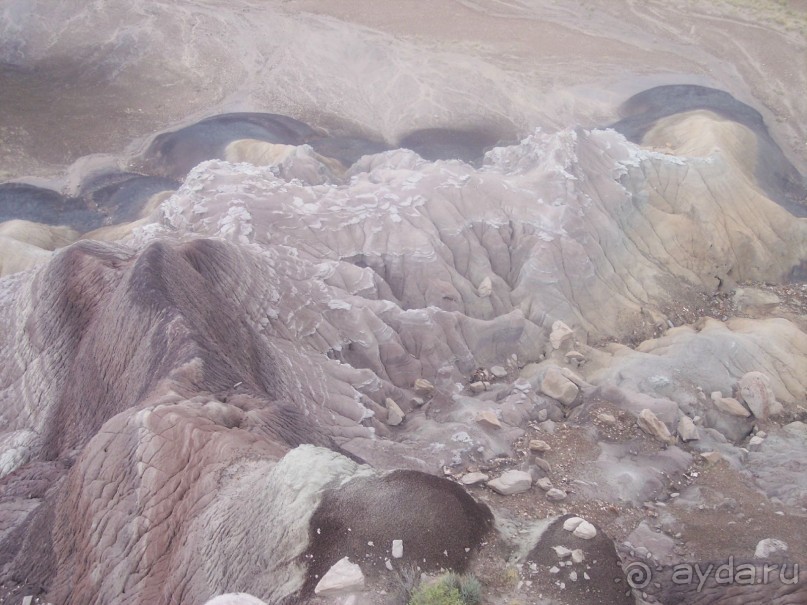 Окаменелый лес в Раскрашенной пустыне