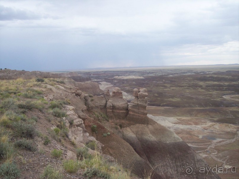 Окаменелый лес в Раскрашенной пустыне