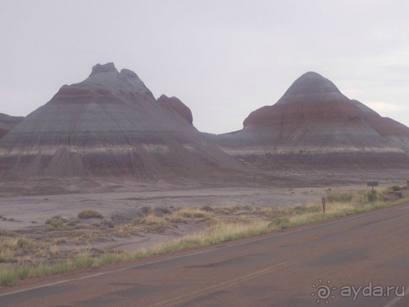 Окаменелый лес в Раскрашенной пустыне