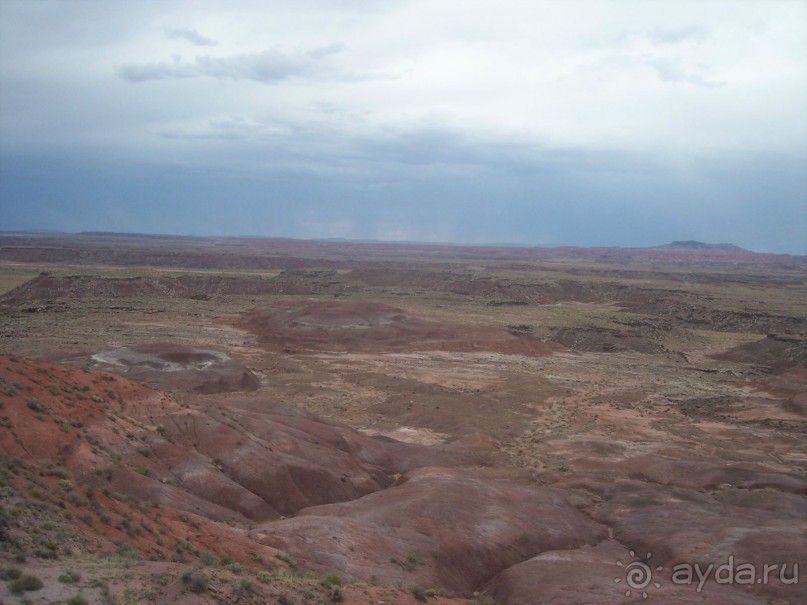 Окаменелый лес в Раскрашенной пустыне