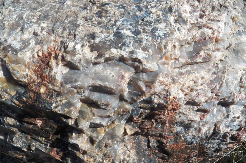 Окаменелый лес в Раскрашенной пустыне