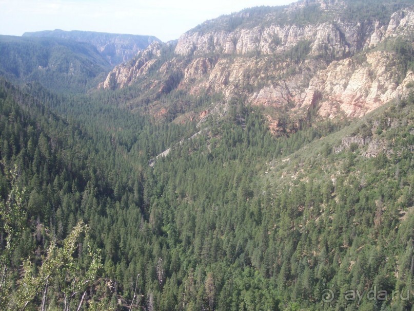 Окаменелый лес в Раскрашенной пустыне