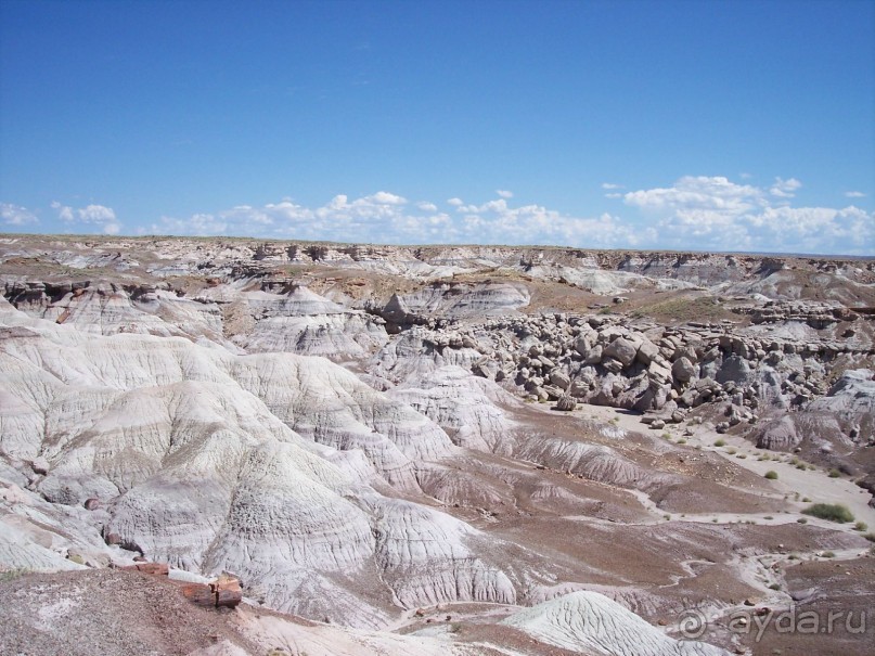 Окаменелый лес в Раскрашенной пустыне