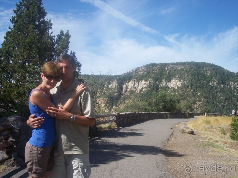 Окаменелый лес в Раскрашенной пустыне